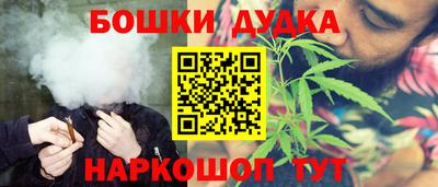 индика Кинель