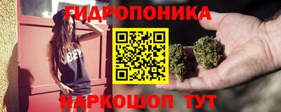 индика Кинель