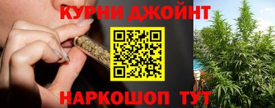МДПВ Кингисепп