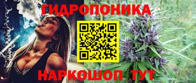 индика Кинель
