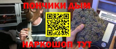 МДПВ Кингисепп