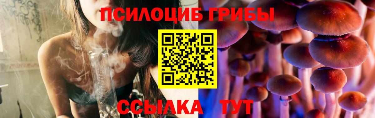 Псилоцибиновые грибы Psilocybine cubensis Кингисепп